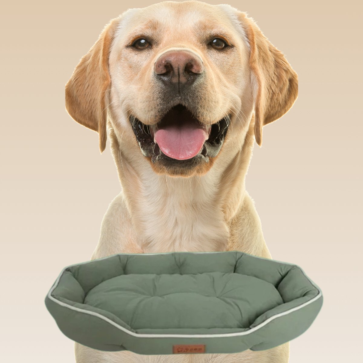 Dog mat bed