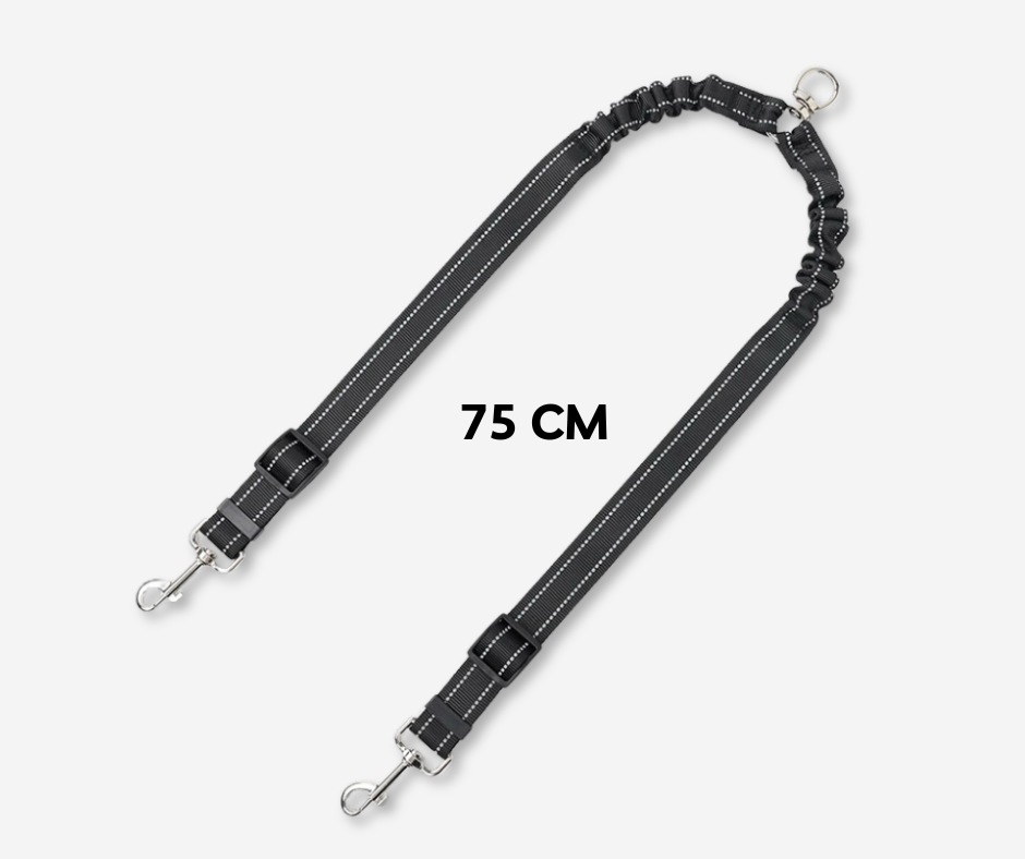Double dog leash – 360°