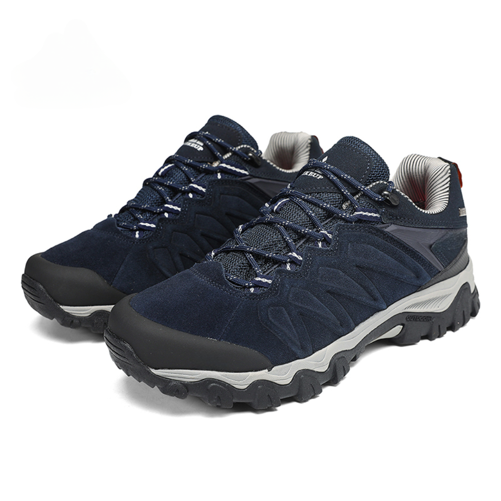 Hiking shoes
