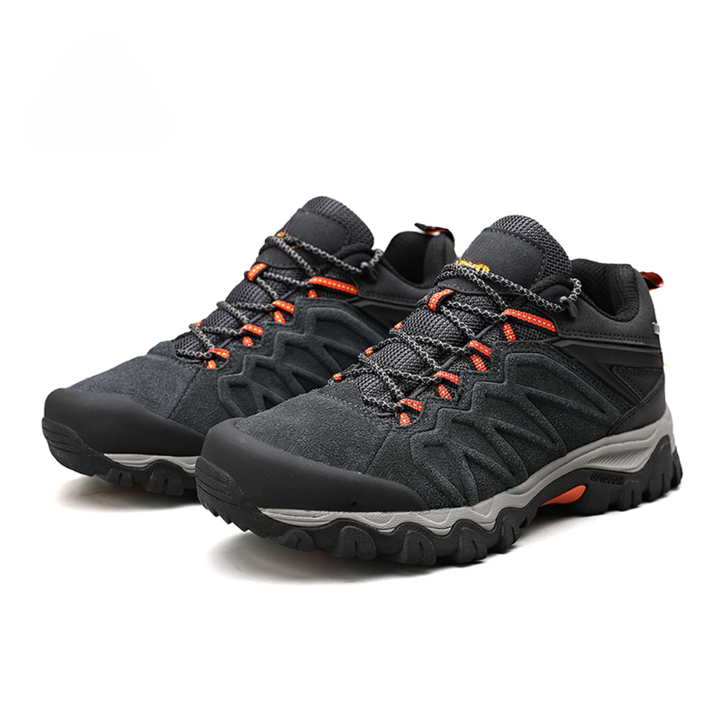 Hiking shoes