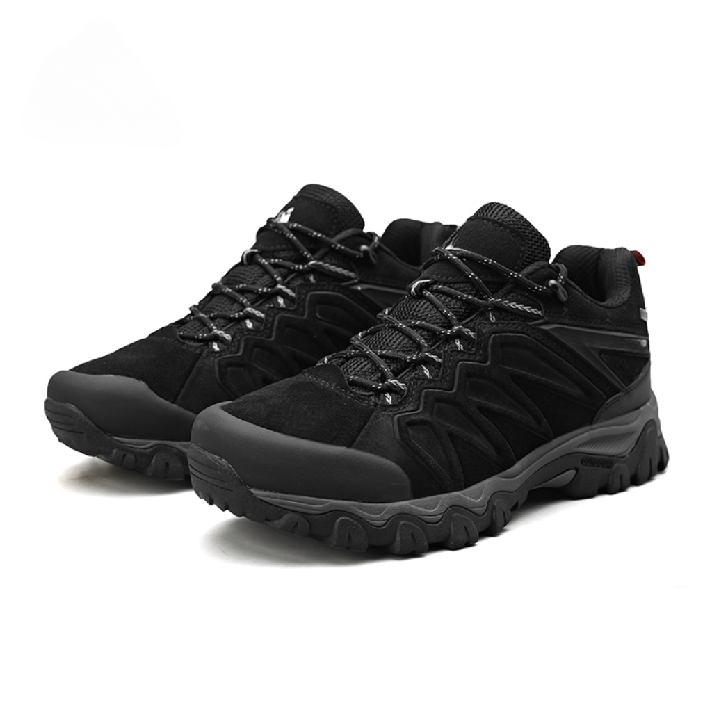 Hiking shoes