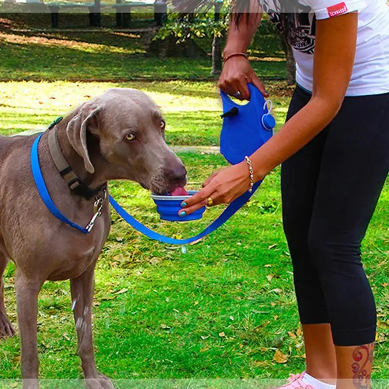 Dog leash 3 in 1