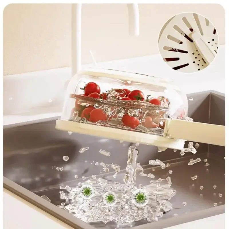 Drain basket box fruit vegeting