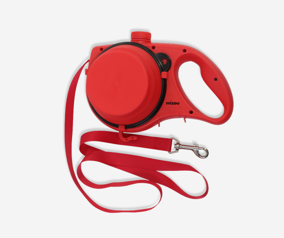 Dog leash 3 in 1