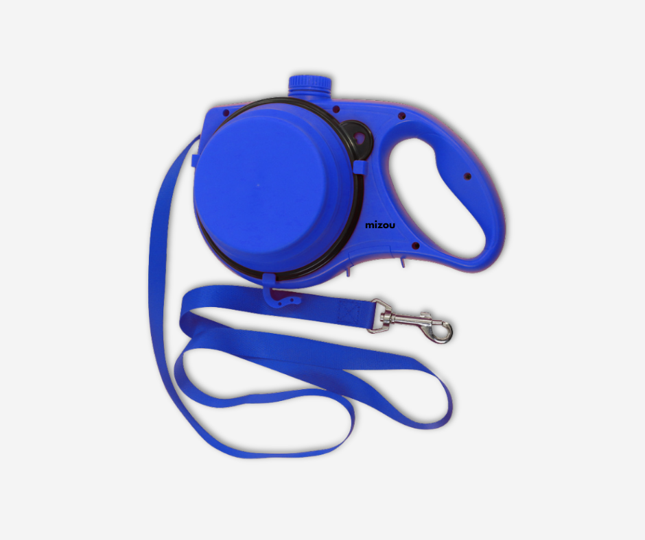 Dog leash 3 in 1