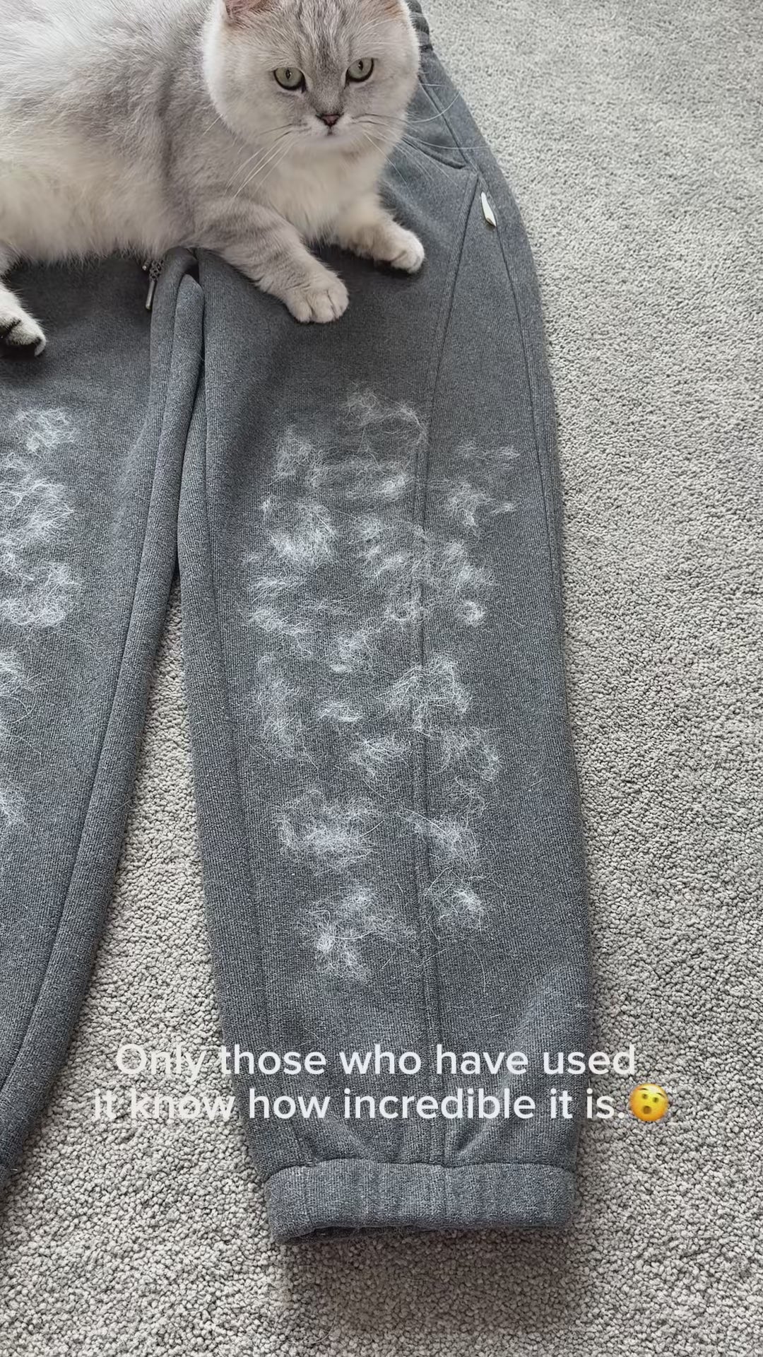 Pet hair removal glove